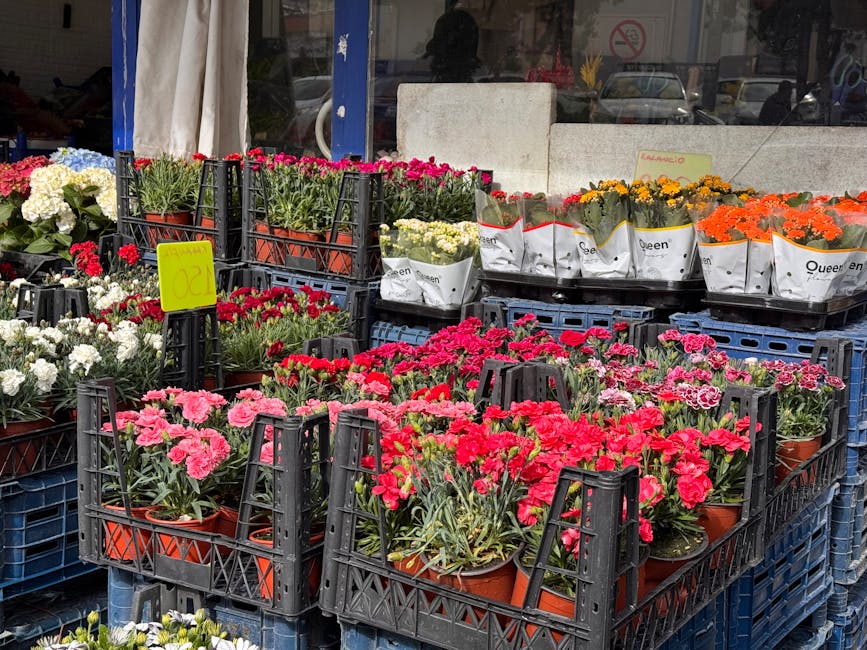 A display of potted flowers arranged on black plastic crates outside a flower shop, featuring various vibrant carnations in shades of pink, red, orange, and white. The flowers are fresh, with lush gre