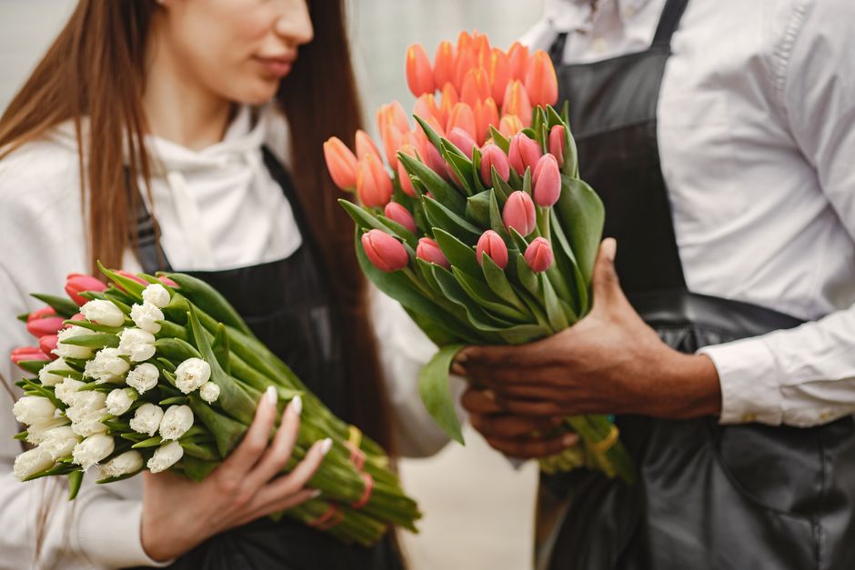 A woman and a man are exchanging bouquets of fresh tulips indoors. The woman's bouquet consists of white tulips with lush green leaves, arranged in a compact cluster, wrapped loosely with pink and gre